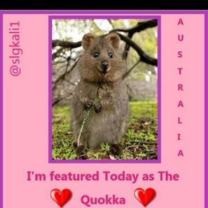 Australia Share game
